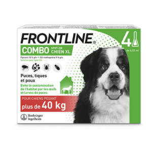 frontline combo chien 