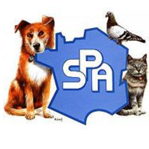 Logo SPA - Société Protectrice des Animaux