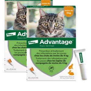 antipuce advantage pour chat