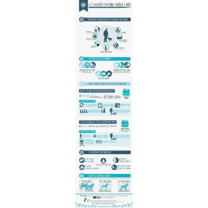 Infographie sur le métier de maitre chien