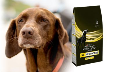 Un chien et le produit proplan neurocare