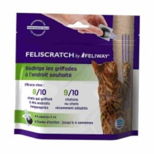 feliscratch-griffades-chats