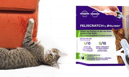 Un chat en train de griffer le canapé présenté à côté du produit feliscratch