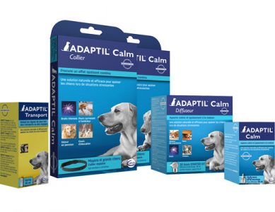 gamme de produits apaisants Adaptil