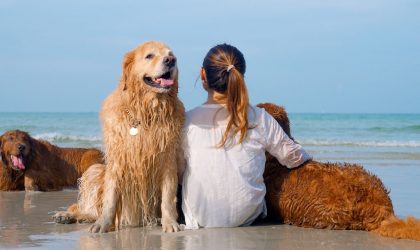 chiens et son maitre au bord de l'eau