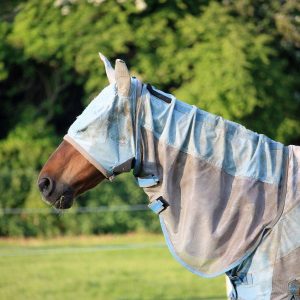 protechtion entière pour chevaux durant l'été 