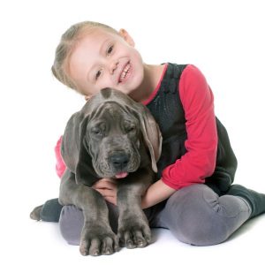 enfant avec un chiot 