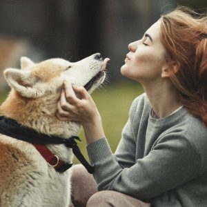 Akita Inu avec son maitre