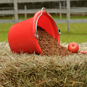 ALIMENT POU CHEVAUX