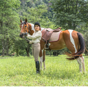 CHEVAL ET CAVALIERE 