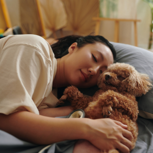 calin avec un caniche