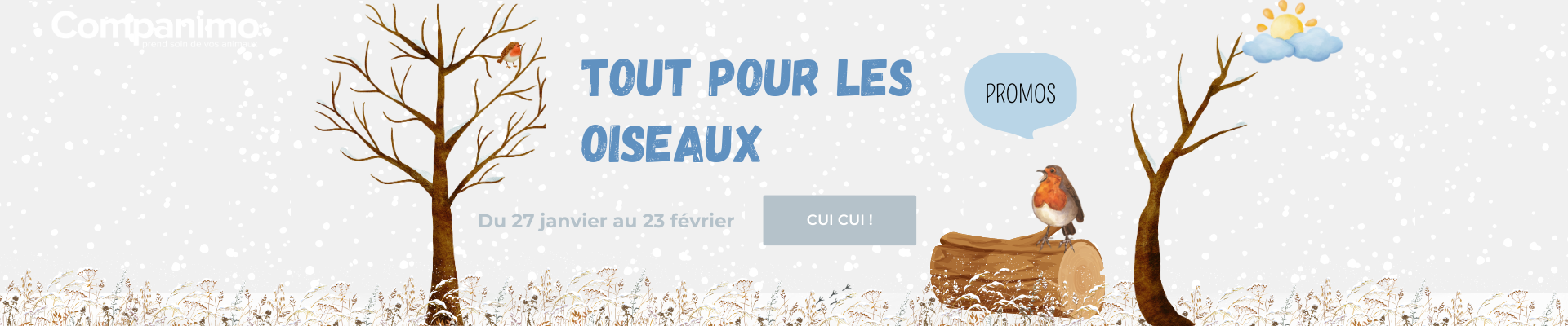 Bannière promotion pour les oiseaux