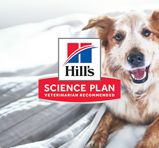 Logo Hill’s Science Plan