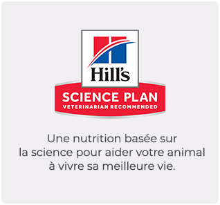 Logo Hill’s Science Plan