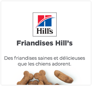 Logo Hill’s Treats